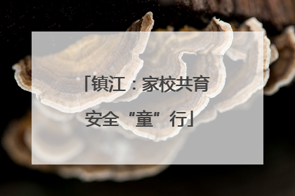 镇江：家校共育 安全“童”行