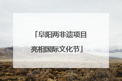 阜阳两非遗项目亮相国际文化节