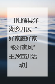 阳信县洋湖乡开展“好家庭好家教好家风”主题宣讲活动