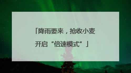 降雨要来，抢收小麦开启“倍速模式”