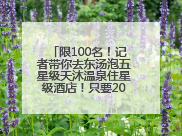 限100名！记者带你去东汤泡五星级天沐温泉住星级酒店！只要200多元……