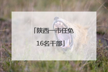 陕西一市任免16名干部