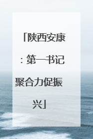 陕西安康：第一书记聚合力促振兴