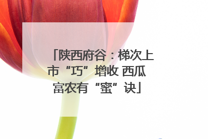 陕西府谷：梯次上市“巧”增收 西瓜富农有“蜜”诀