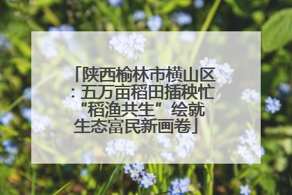 陕西榆林市横山区：五万亩稻田插秧忙 “稻渔共生”绘就生态富民新画卷