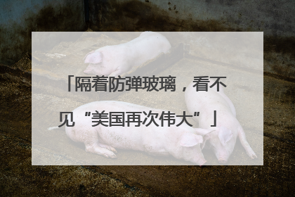 隔着防弹玻璃，看不见“美国再次伟大”