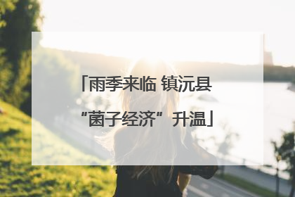 雨季来临 镇沅县“菌子经济”升温