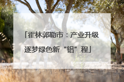 霍林郭勒市：产业升级逐梦绿色新“铝”程