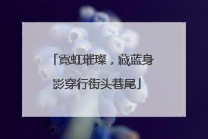 霓虹璀璨，藏蓝身影穿行街头巷尾