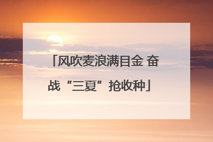 风吹麦浪满目金 奋战“三夏”抢收种