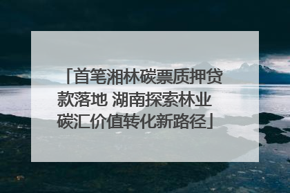 首笔湘林碳票质押贷款落地 湖南探索林业碳汇价值转化新路径
