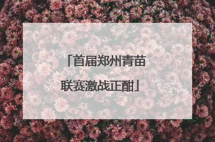 首届郑州青苗联赛激战正酣