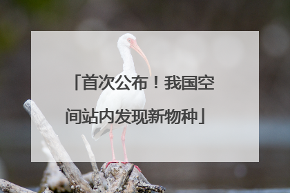 首次公布！我国空间站内发现新物种