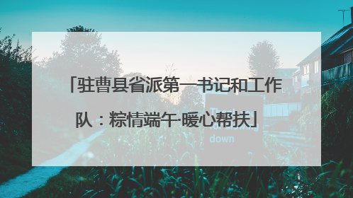 驻曹县省派第一书记和工作队：粽情端午·暖心帮扶