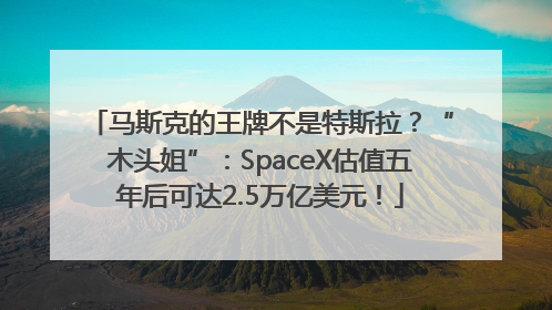 马斯克的王牌不是特斯拉？“木头姐”：SpaceX估值五年后可达2.5万亿美元！
