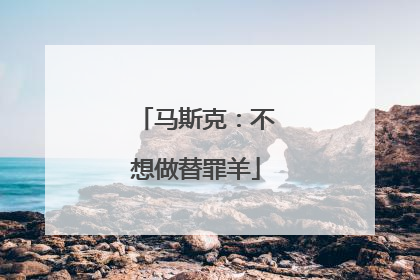 马斯克：不想做替罪羊
