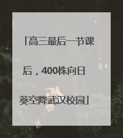 高三最后一节课后，400株向日葵空降武汉校园