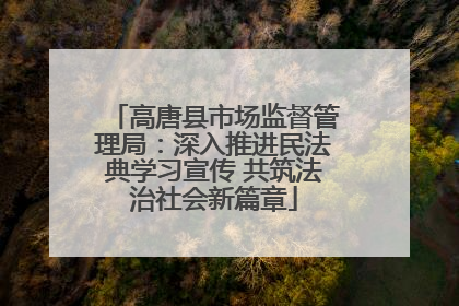 高唐县市场监督管理局：深入推进民法典学习宣传 共筑法治社会新篇章