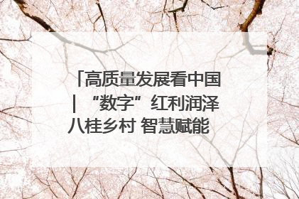高质量发展看中国｜“数字”红利润泽八桂乡村 智慧赋能绘就振兴画卷