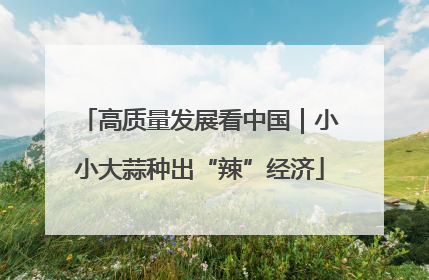 高质量发展看中国｜小小大蒜种出“辣”经济