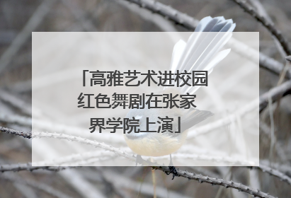 高雅艺术进校园 红色舞剧在张家界学院上演