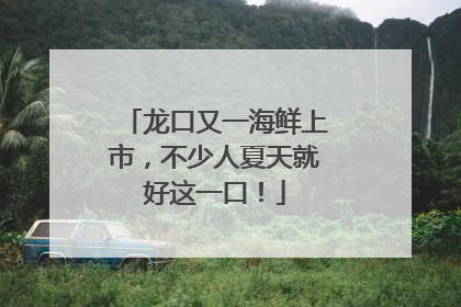 龙口又一海鲜上市，不少人夏天就好这一口！