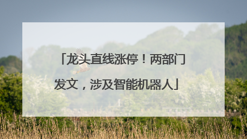 龙头直线涨停！两部门发文，涉及智能机器人