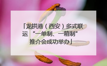 龙拱港（西安）多式联运 “一单制、一箱制” 推介会成功举办