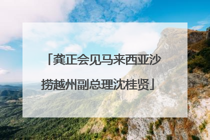 龚正会见马来西亚沙捞越州副总理沈桂贤