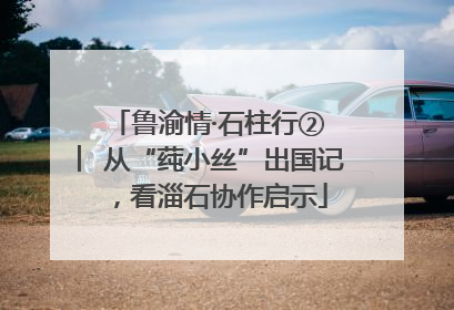 鲁渝情·石柱行② ︳从“莼小丝”出国记，看淄石协作启示