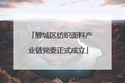 鲤城区纺织面料产业链党委正式成立