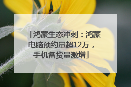 鸿蒙生态冲刺：鸿蒙电脑预约量超12万，手机备货量激增