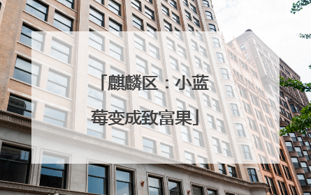麒麟区：小蓝莓变成致富果
