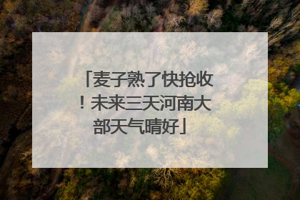 麦子熟了快抢收！未来三天河南大部天气晴好