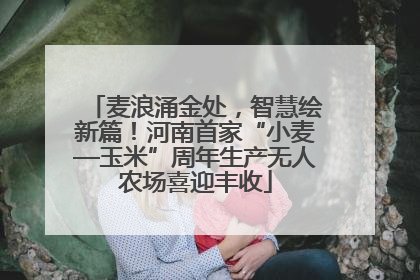 麦浪涌金处，智慧绘新篇！河南首家“小麦—玉米”周年生产无人农场喜迎丰收