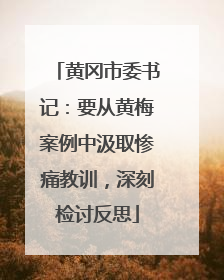 黄冈市委书记：要从黄梅案例中汲取惨痛教训，深刻检讨反思