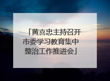 黄喜忠主持召开市委学习教育集中整治工作推进会