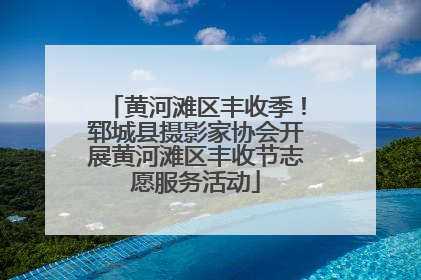 黄河滩区丰收季！郓城县摄影家协会开展黄河滩区丰收节志愿服务活动