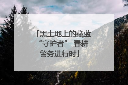 黑土地上的藏蓝“守护者” 春耕警务进行时
