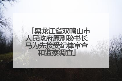 黑龙江省双鸭山市人民政府原副秘书长马为先接受纪律审查和监察调查