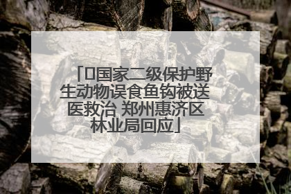 ﻿国家二级保护野生动物误食鱼钩被送医救治 郑州惠济区林业局回应