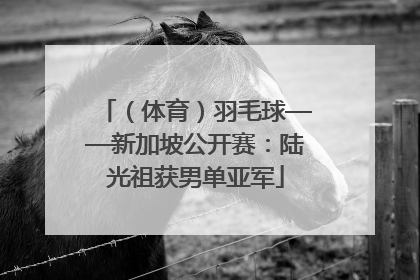 （体育）羽毛球——新加坡公开赛：陆光祖获男单亚军