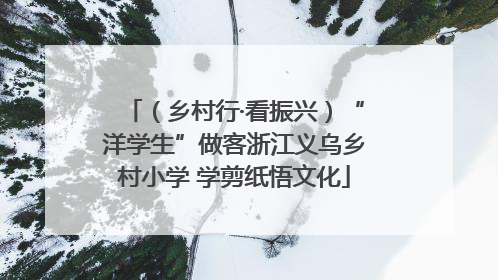 （乡村行·看振兴）“洋学生”做客浙江义乌乡村小学 学剪纸悟文化