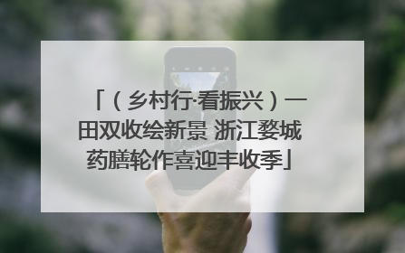 （乡村行·看振兴）一田双收绘新景 浙江婺城药膳轮作喜迎丰收季
