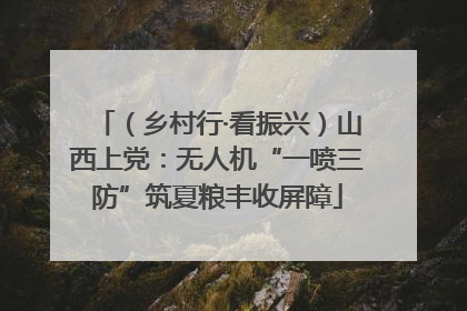 （乡村行·看振兴）山西上党：无人机“一喷三防”筑夏粮丰收屏障