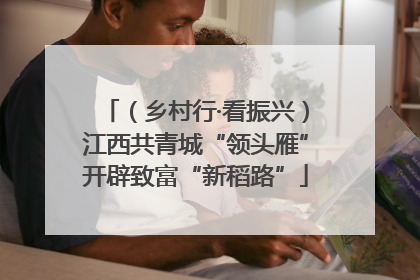 （乡村行·看振兴）江西共青城“领头雁”开辟致富“新稻路”