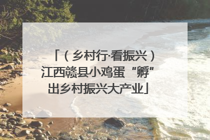 （乡村行·看振兴）江西赣县小鸡蛋“孵”出乡村振兴大产业