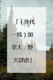（外代一线）加拿大：野火肆虐