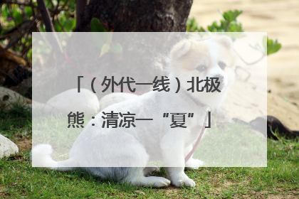 （外代一线）北极熊：清凉一“夏”
