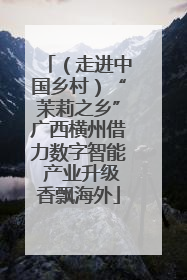 （走进中国乡村）“茉莉之乡”广西横州借力数字智能 产业升级香飘海外